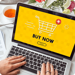 Custom Online Store Development