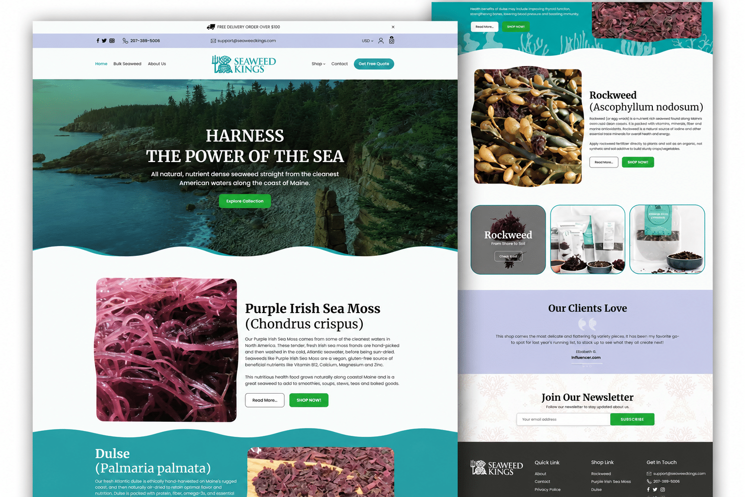 Seaweed Kings Shopify project completed through U.S. digital agency partnership